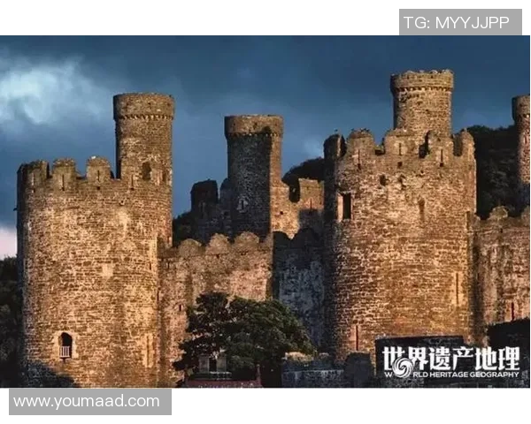 威尔士足球传奇人物悼念：追忆已故球星的辉煌足迹与精神遗产